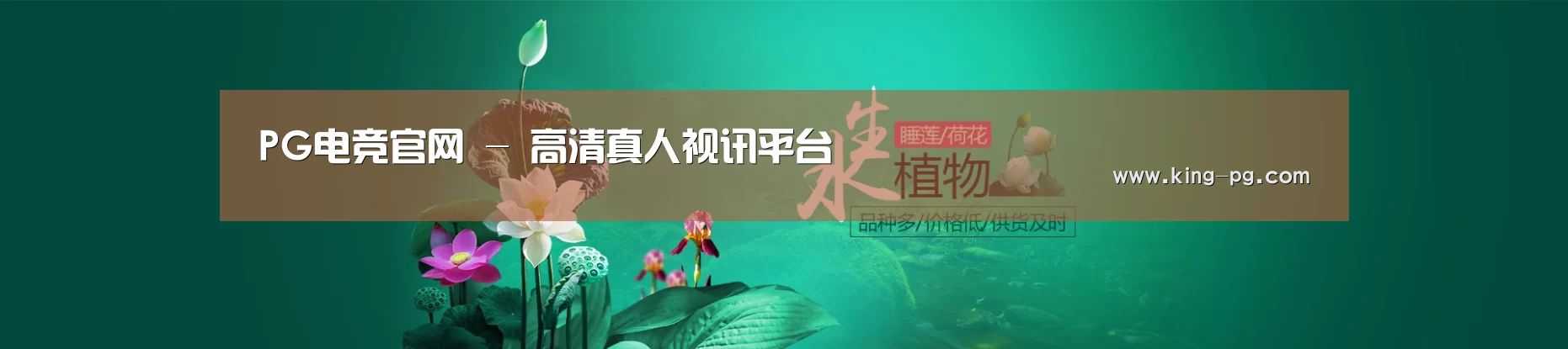 鲜花水草花卉网站模板