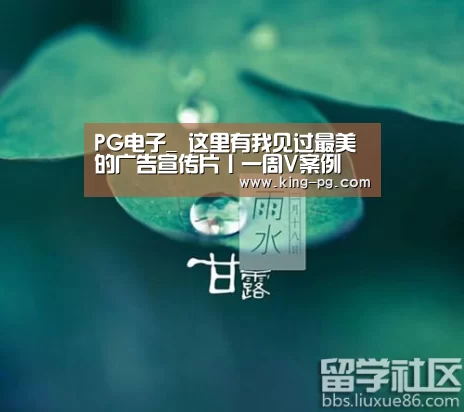 PG电子_
这里有我见过最美的广告宣传片丨一周V案例(图1) PG入口