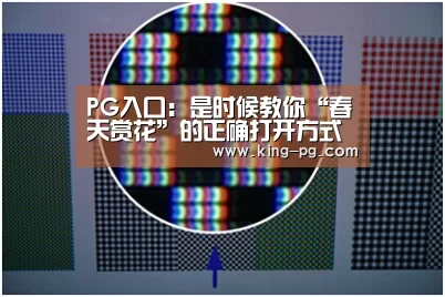 PG入口:是时候教你“春天赏花”的正确打开方式——CA携手上海MRM//McCann一起唤醒你的春日密语(图1) PG电竞APP