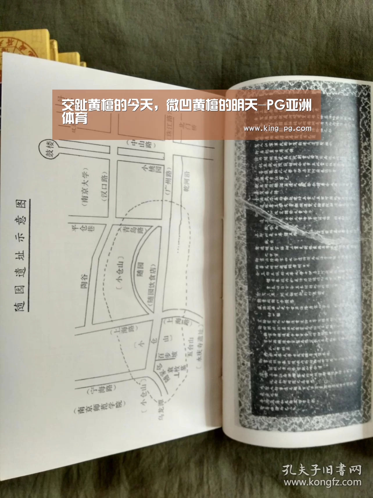 交趾黄檀的今天,微凹黄檀的明天-PG亚洲体育(图2) PG电竞APP