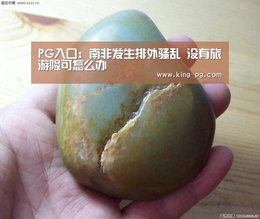 PG入口:南非发生排外骚乱 没有旅游险可怎么办(图1) PG电竞APP