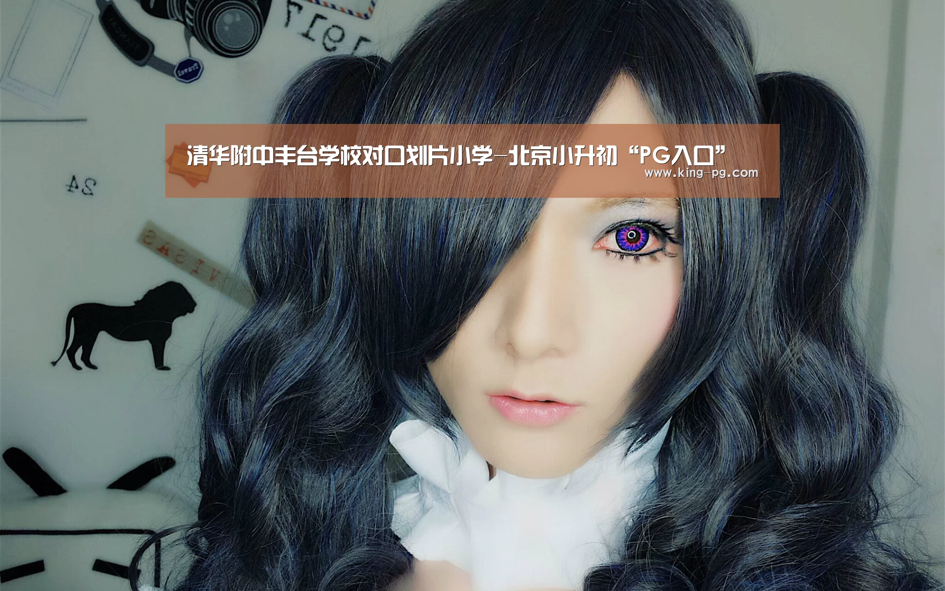 PG入口