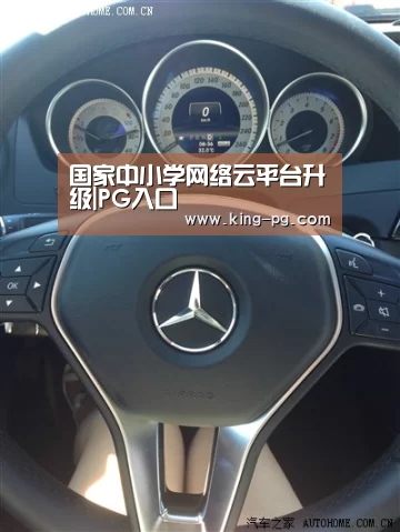 国家中小学网络云平台升级|PG入口