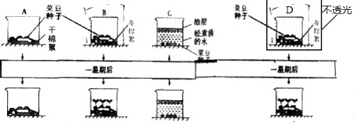 PG电竞APP