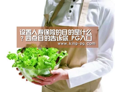 设置人寿保险的目的是什么?四点目的告诉你_PG入口(图2) PG亚洲体育