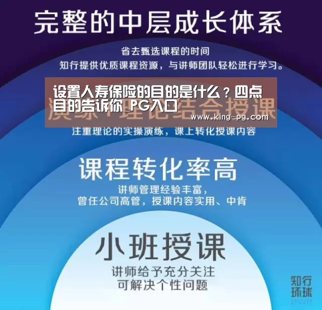 设置人寿保险的目的是什么?四点目的告诉你_PG入口(图3) PG入口